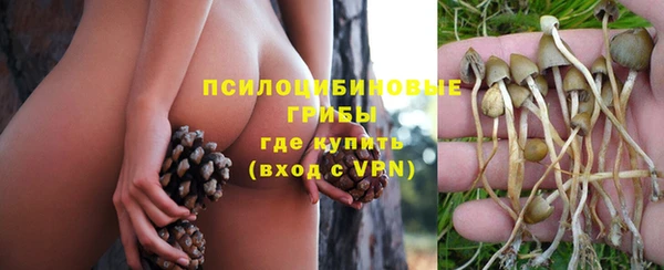 ECSTASY Алексеевка