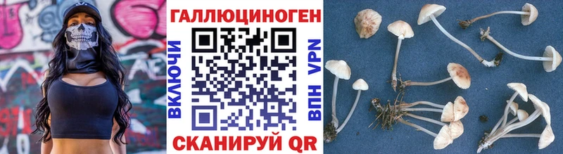 гидра сайт Грязовец Псилоцибиновые грибы прущие грибы